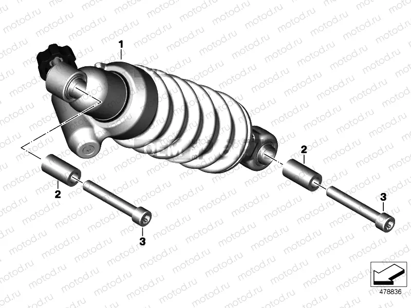 SPRING STRUT, REAR