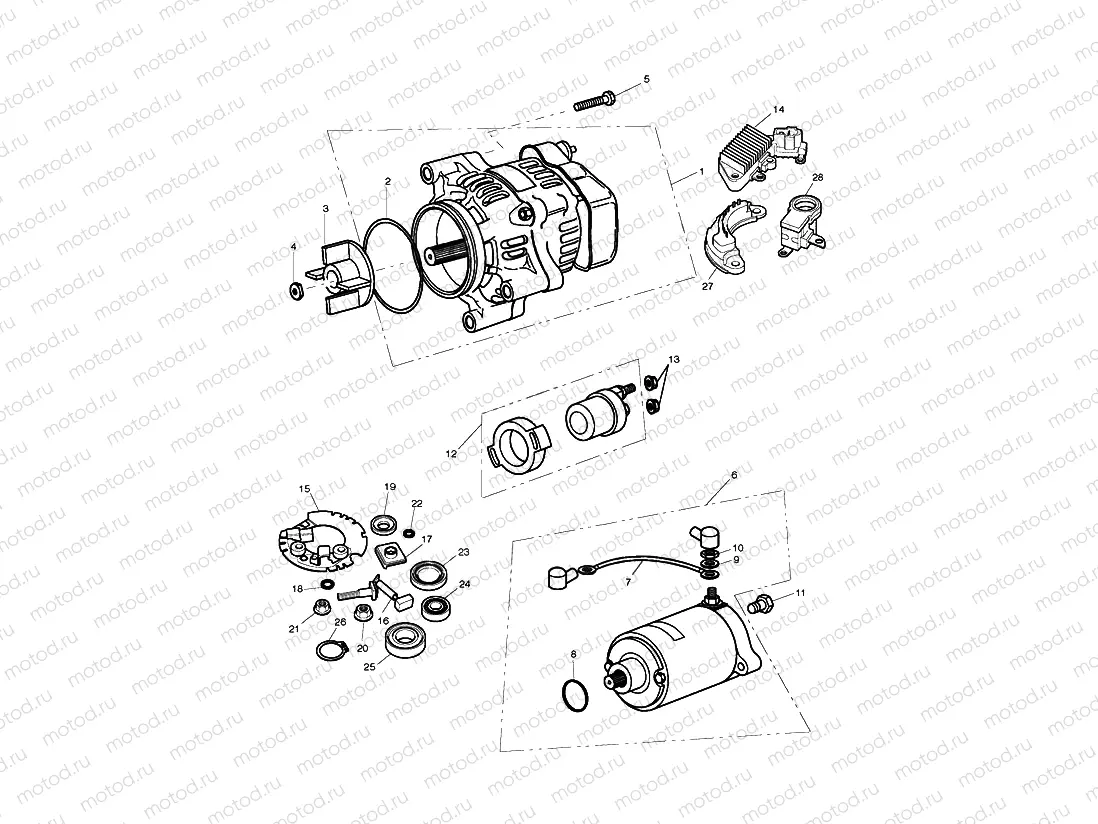 Starter & Alternator