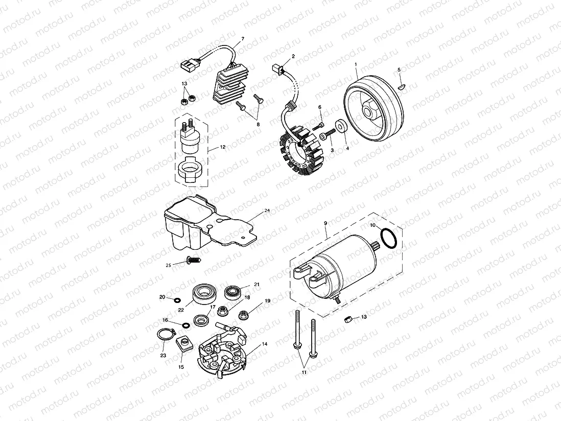 Starter & Alternator