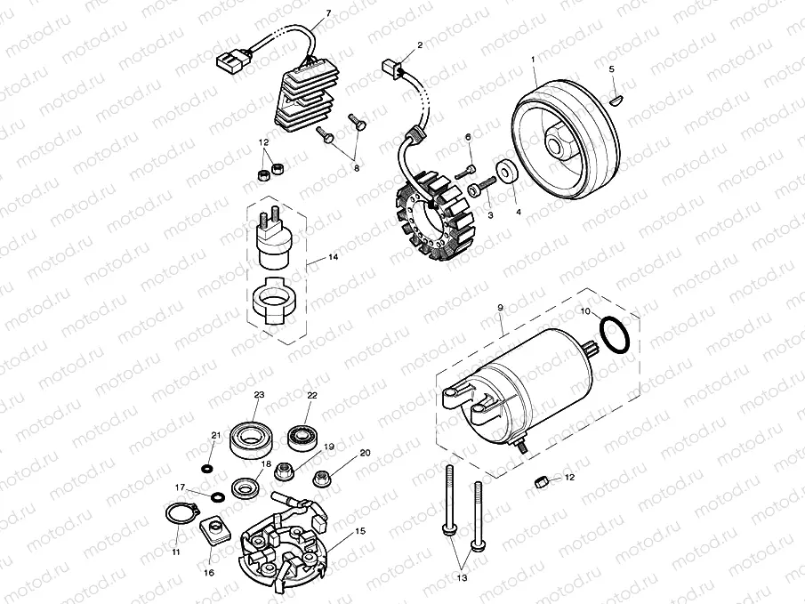 Starter & Alternator