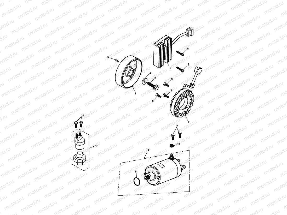 Starter & Alternator