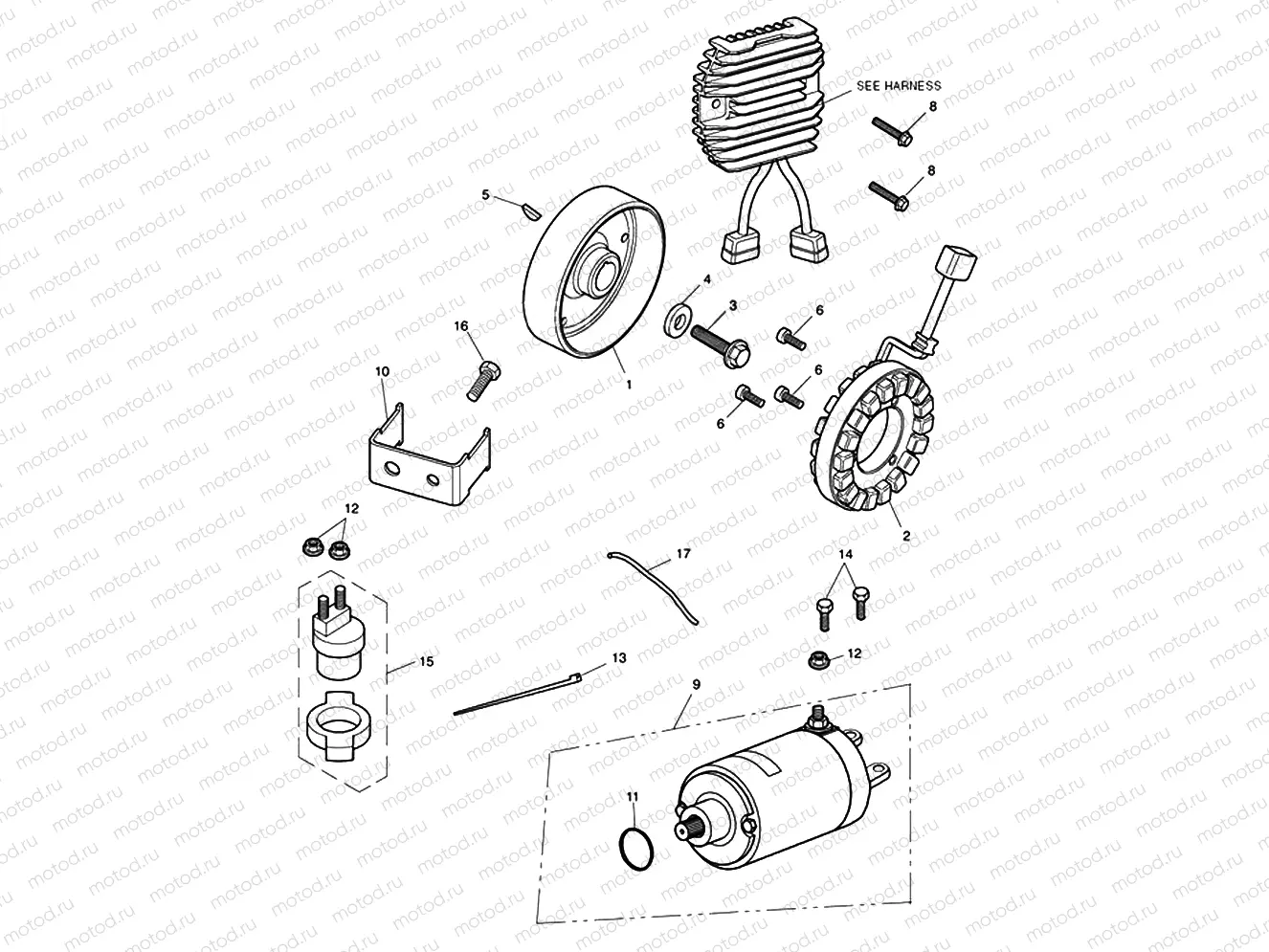 Starter & Alternator