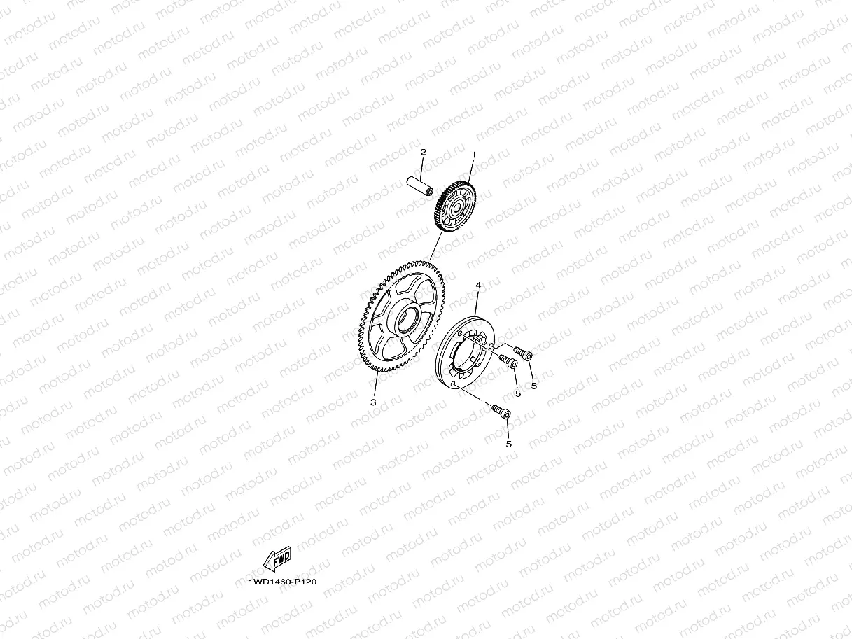 STARTER CLUTCH