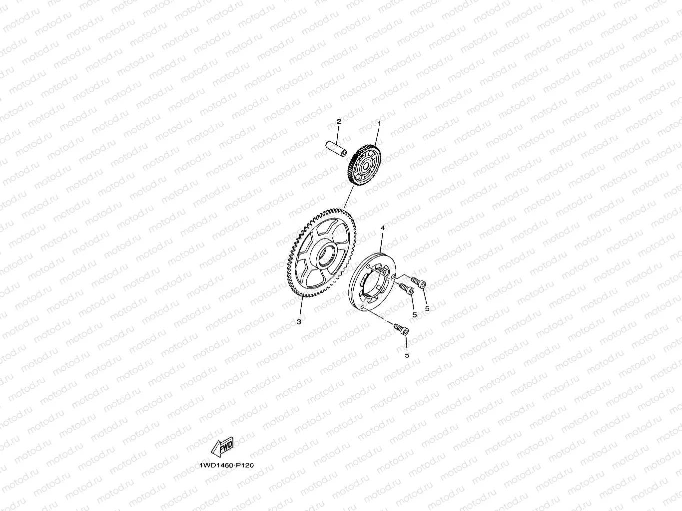 STARTER CLUTCH