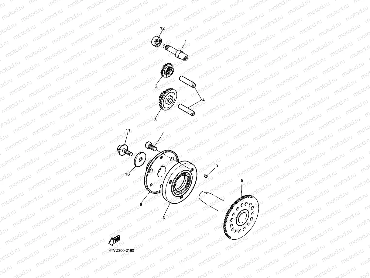 STARTER CLUTCH