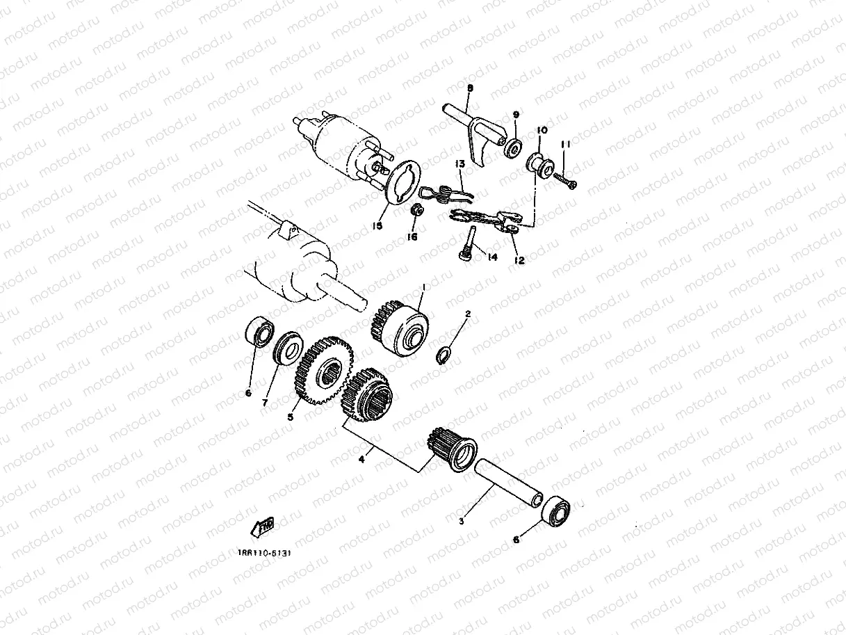 STARTER CLUTCH