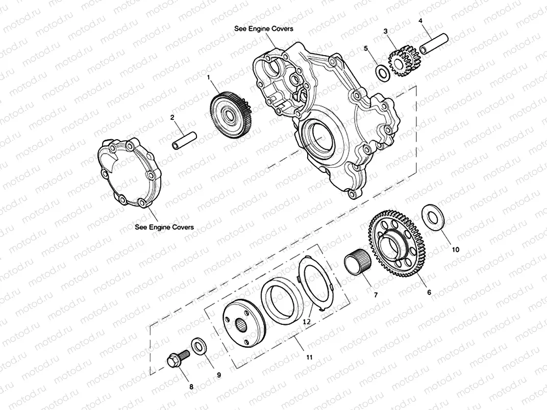Starter Drive Gears 491324