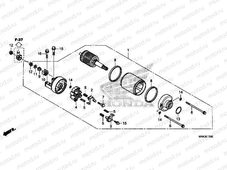 STARTER MOTOR