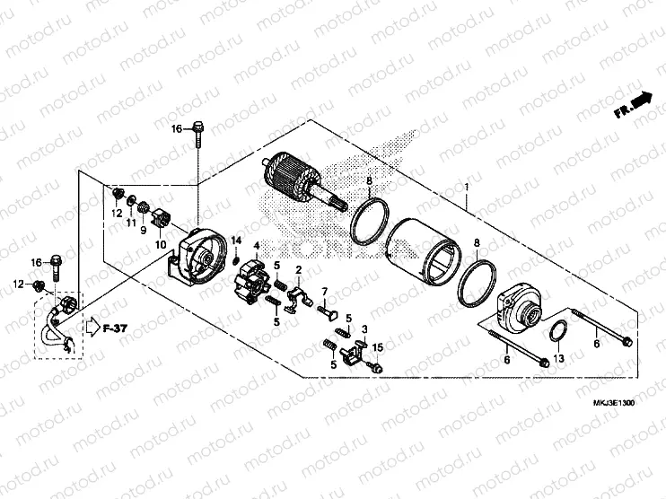 STARTER MOTOR