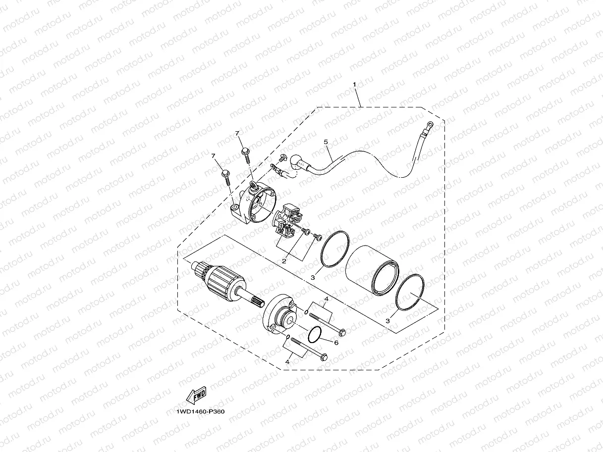 STARTING MOTOR
