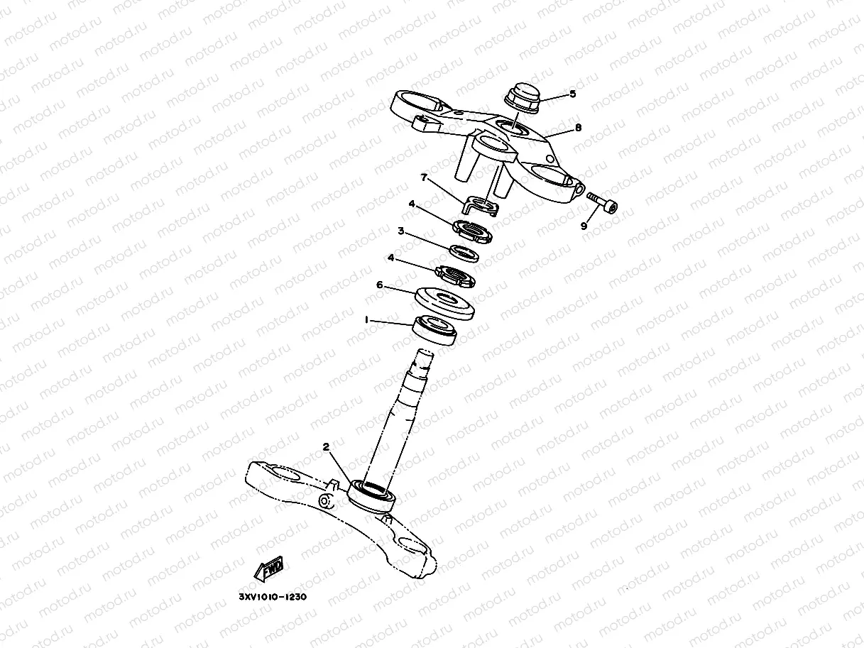 STEERING