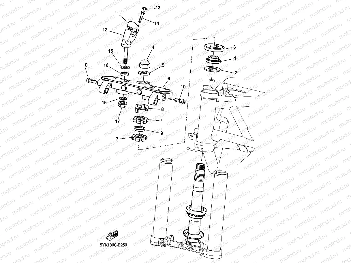 STEERING