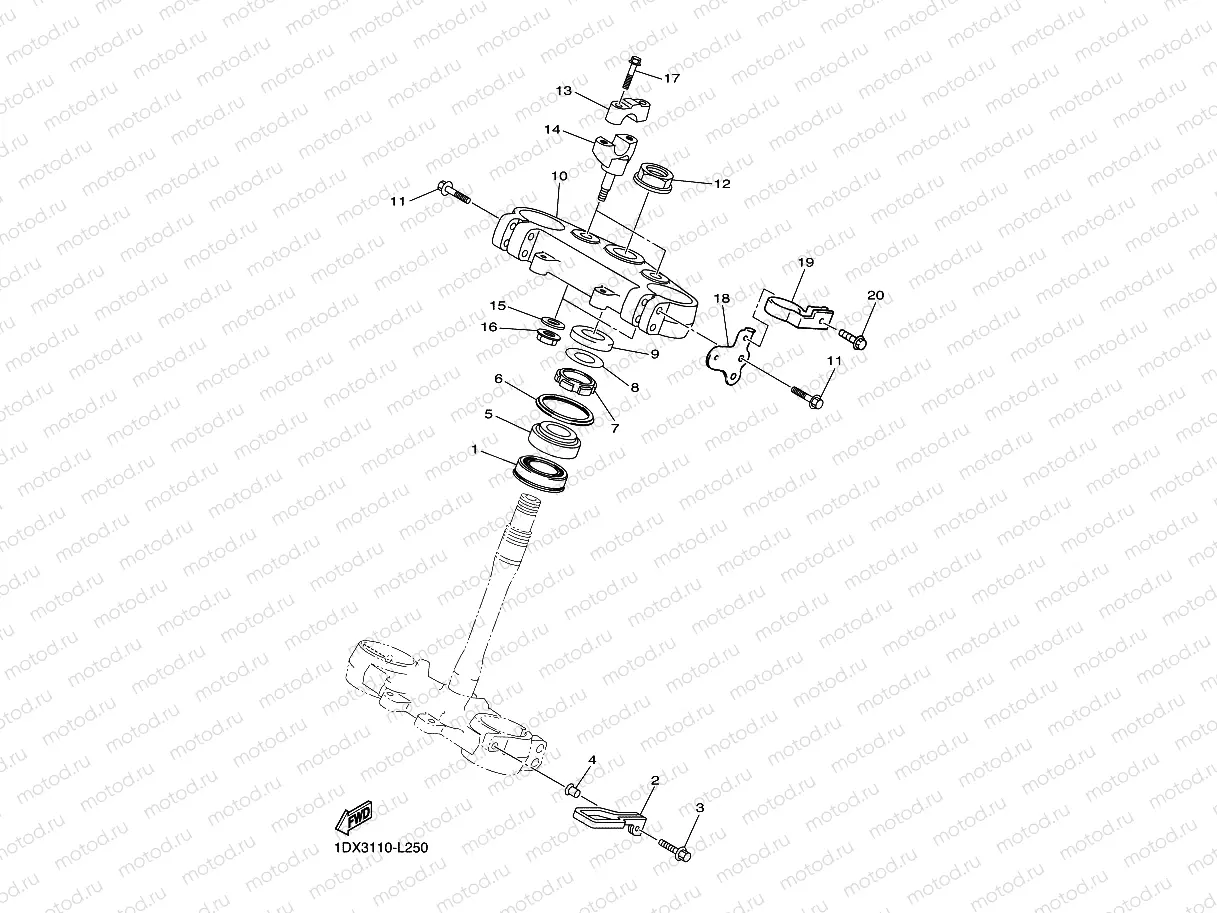 STEERING