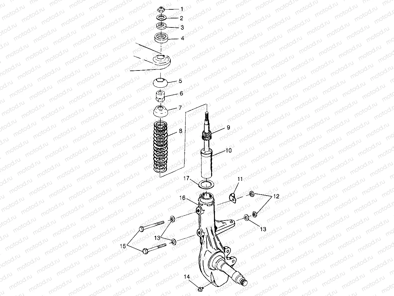 STRUT Trail Boss W97AA25C (4940574057B003) | STRUT Trail Boss W97AA25C (4940574057B003)