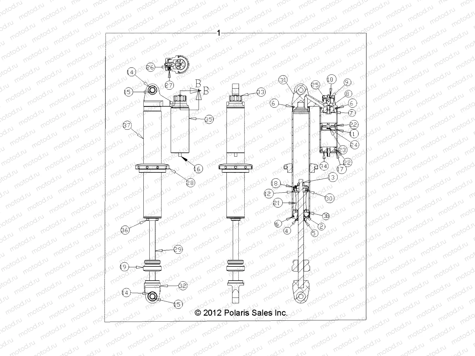 SUSPENSION | SUSPENSION, FRONT SHOCK (7043917) - R13JT9EFX (49RGRSHOCKFRT7043917)