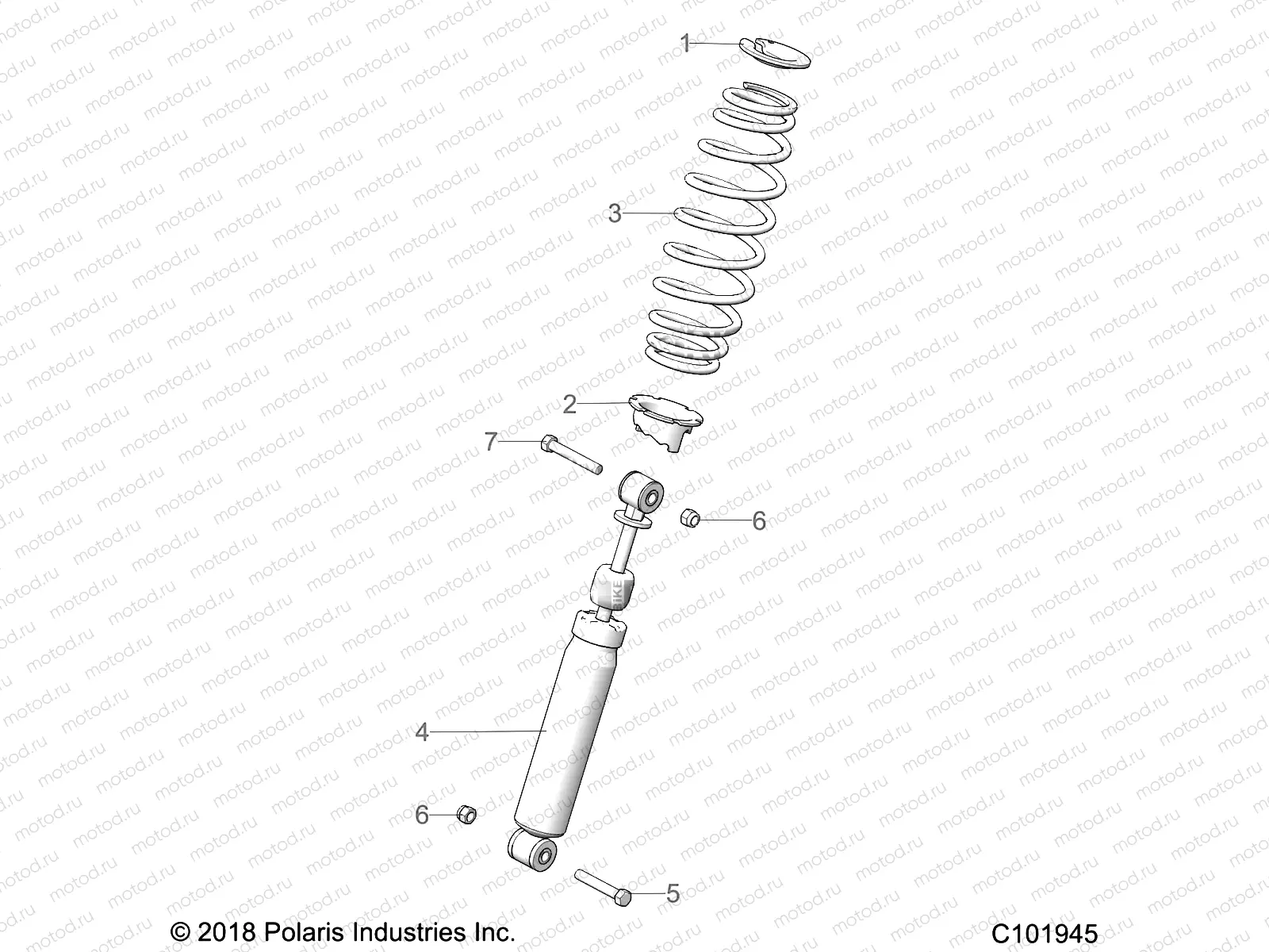 SUSPENSION | SUSPENSION, FRONT SHOCK - A19SHS57CP (C101945)