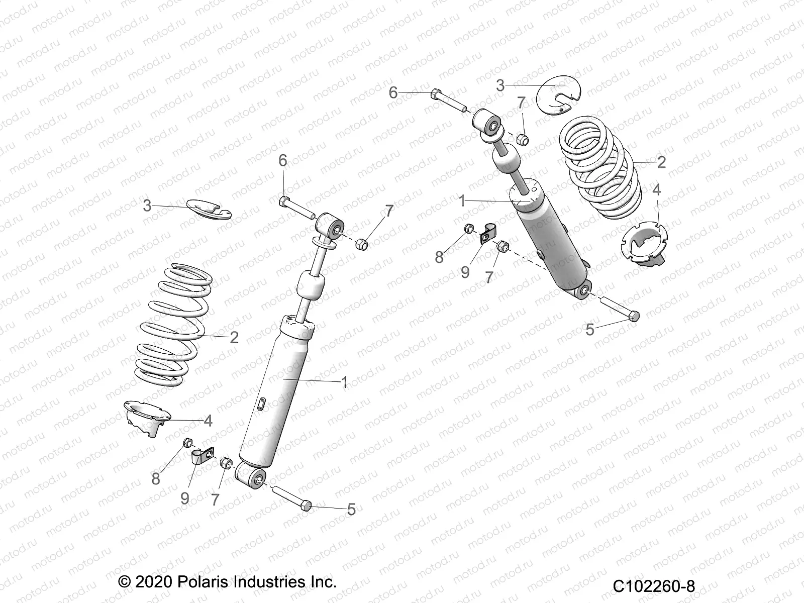 SUSPENSION | SUSPENSION, FRONT SHOCK - A22SHZ57AE (C102260-8)