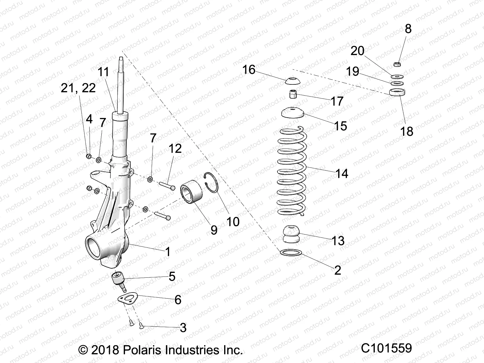 SUSPENSION | SUSPENSION, FRONT STRUT - A19SAA50D5