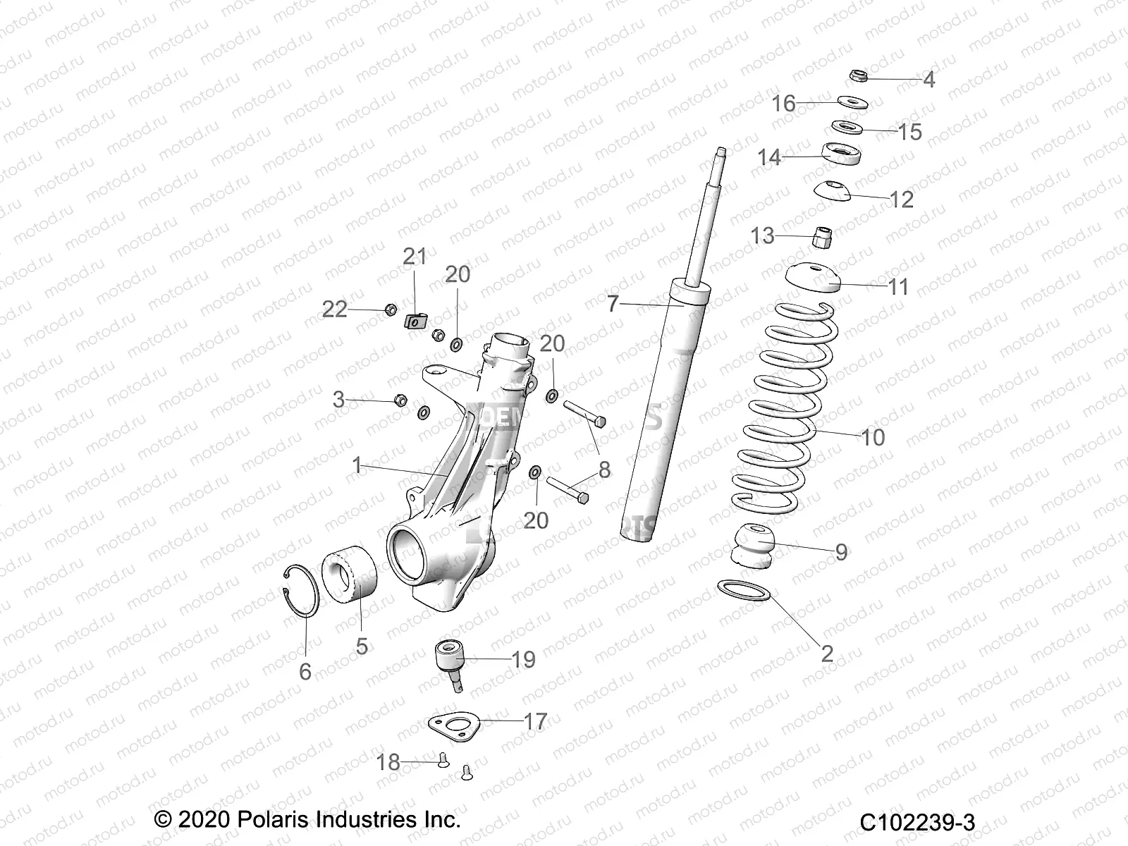 SUSPENSION | SUSPENSION, FRONT STRUT - A22S6E57A1 (C102239-3)
