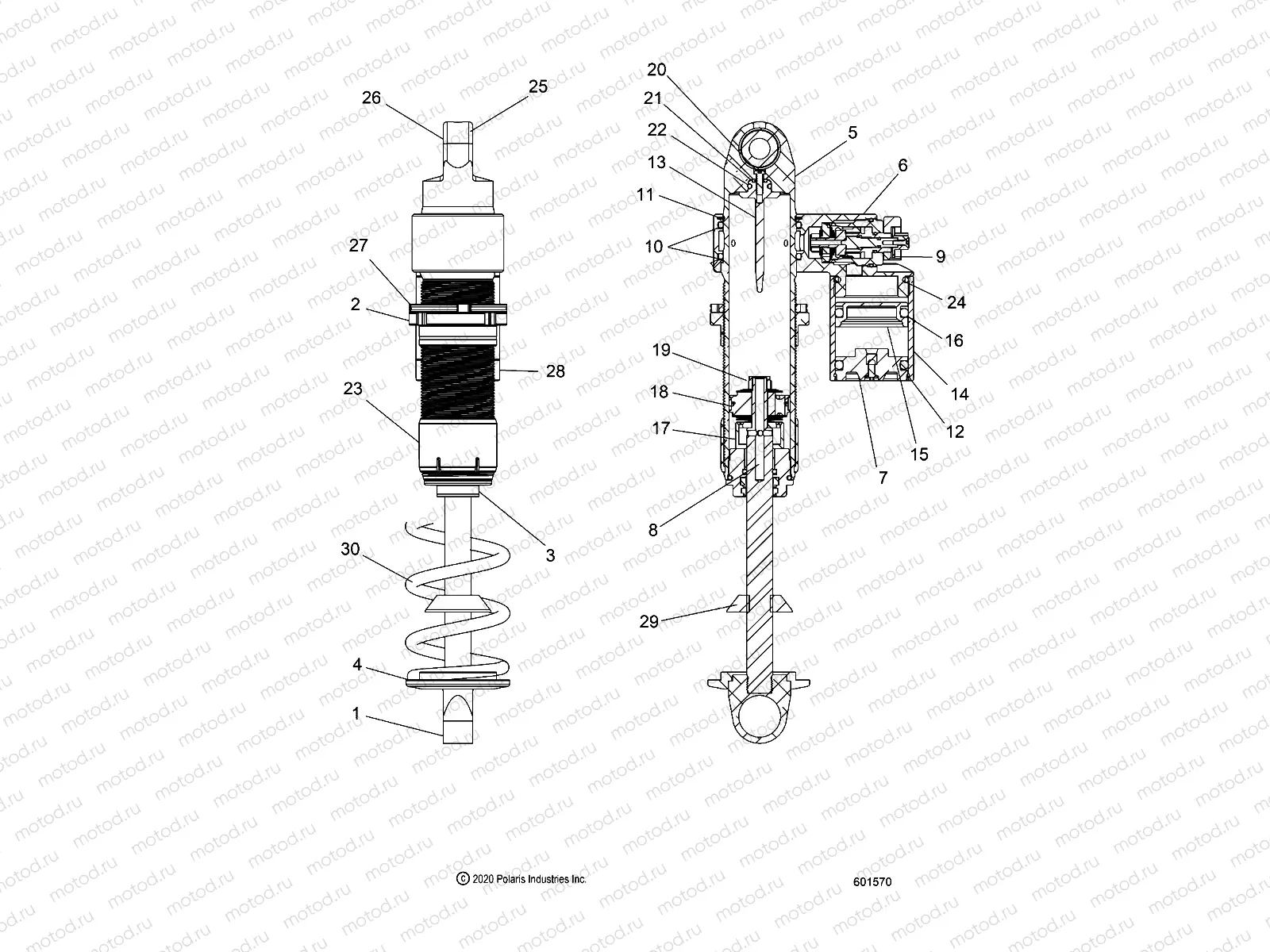 SUSPENSION | SUSPENSION, SHOCK, FRONT (VELOCITY) - J21DRGXXX ALL OPTIONS (601570)