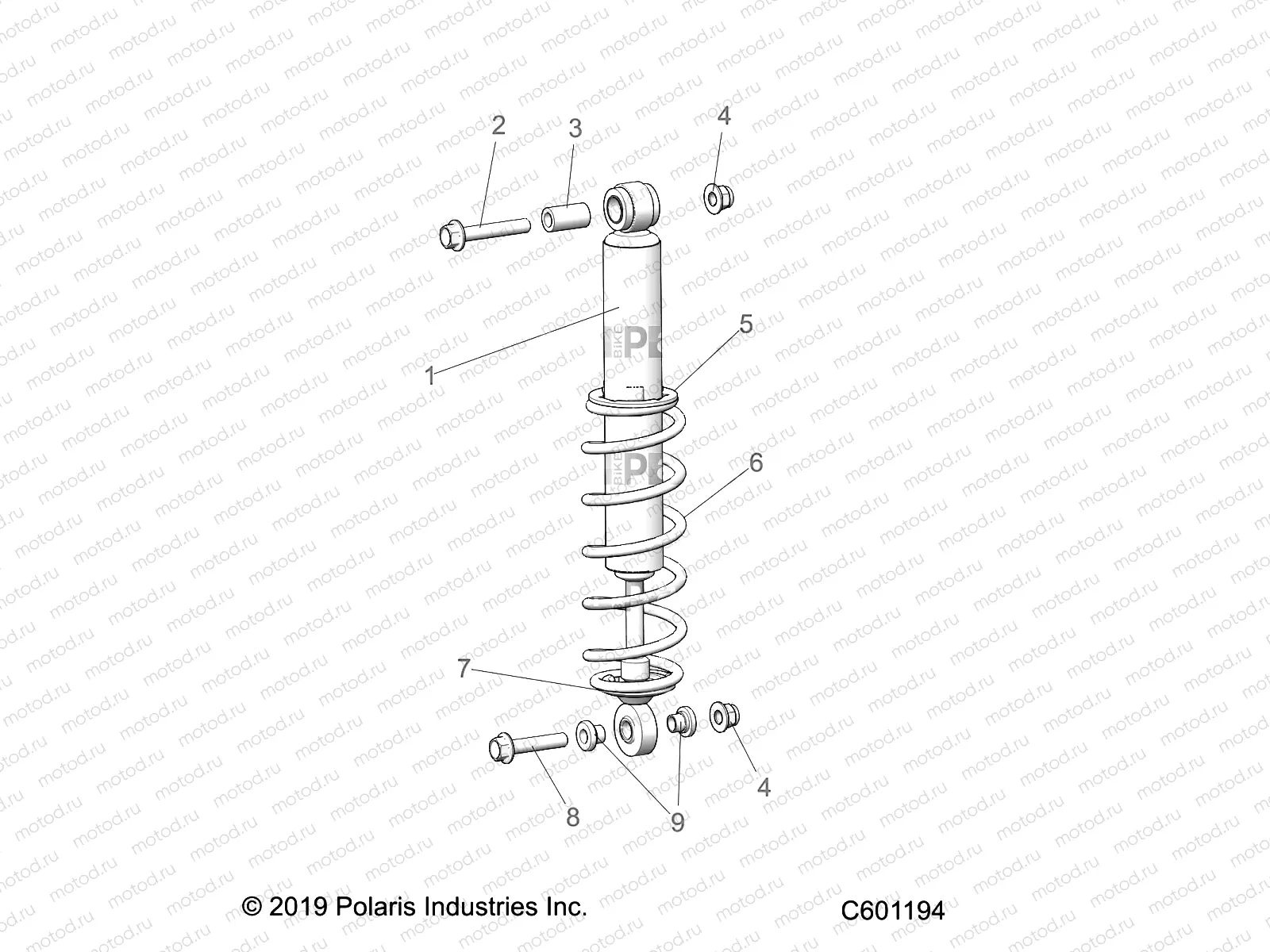 SUSPENSION | SUSPENSION, SHOCKS, IFS - S21CEU5BSL/BEL (C601194)