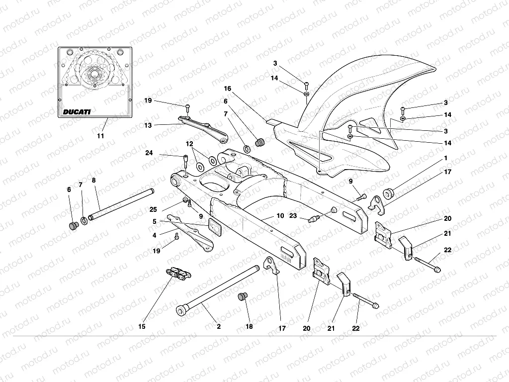 SWINGARM AND CHAIN