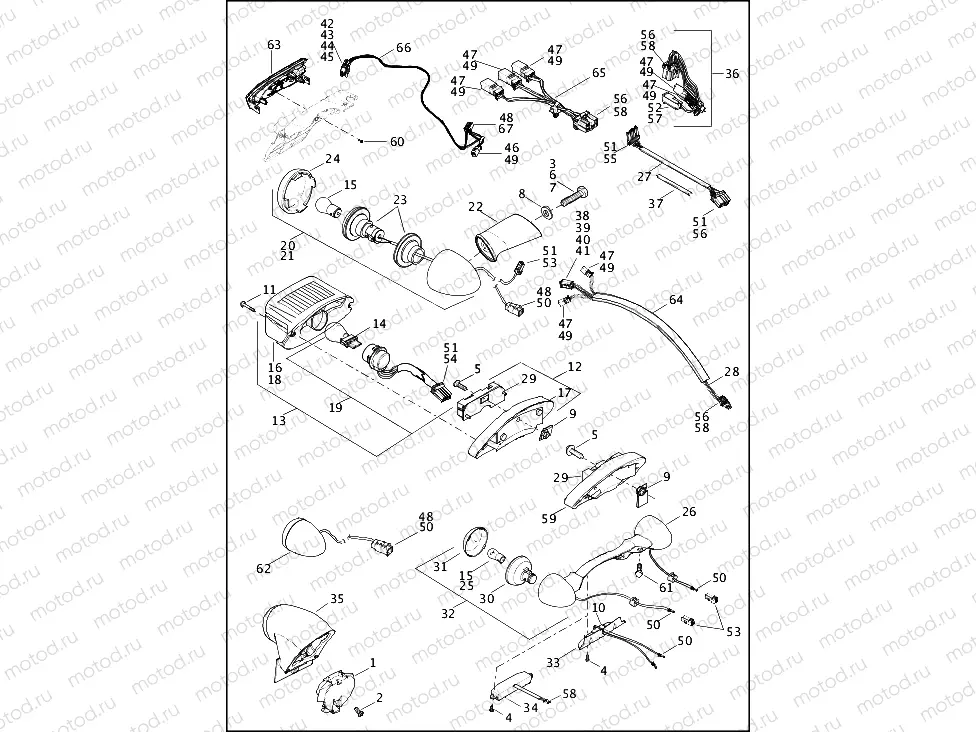 TAIL LAMP AND TURN SIGNALS, REAR (2 OF 3)
