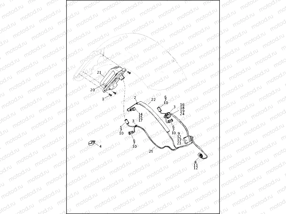 TAIL LAMP (DOMESTIC) & TURN SIGNALS, REAR