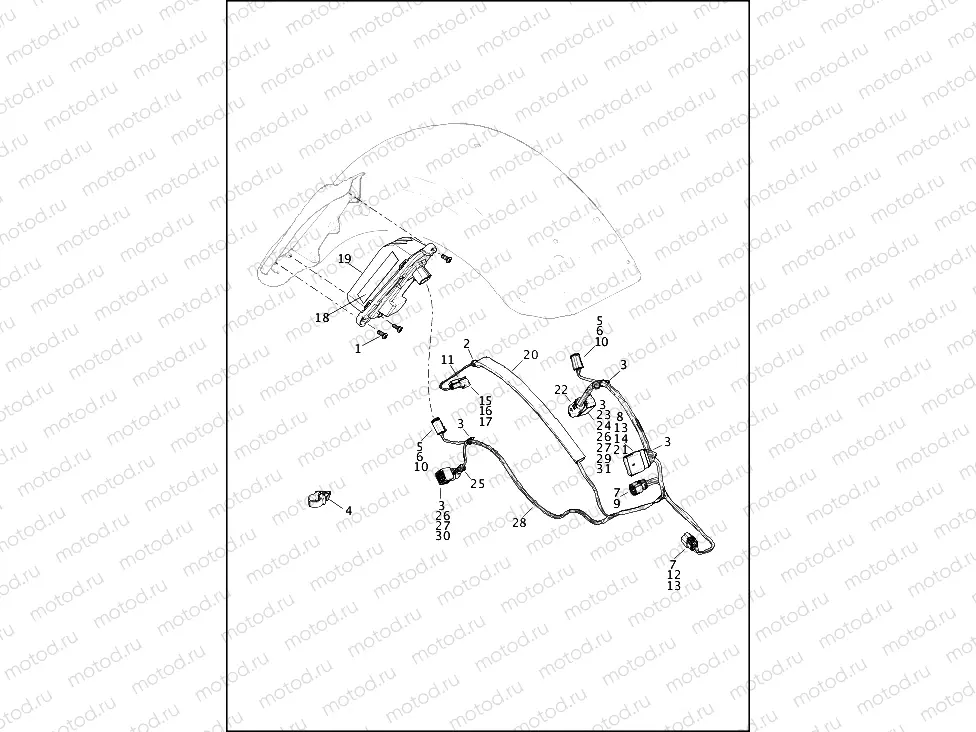 TAIL LAMP (EXCEPT CANADA) AND TURN SIGNAL, REAR