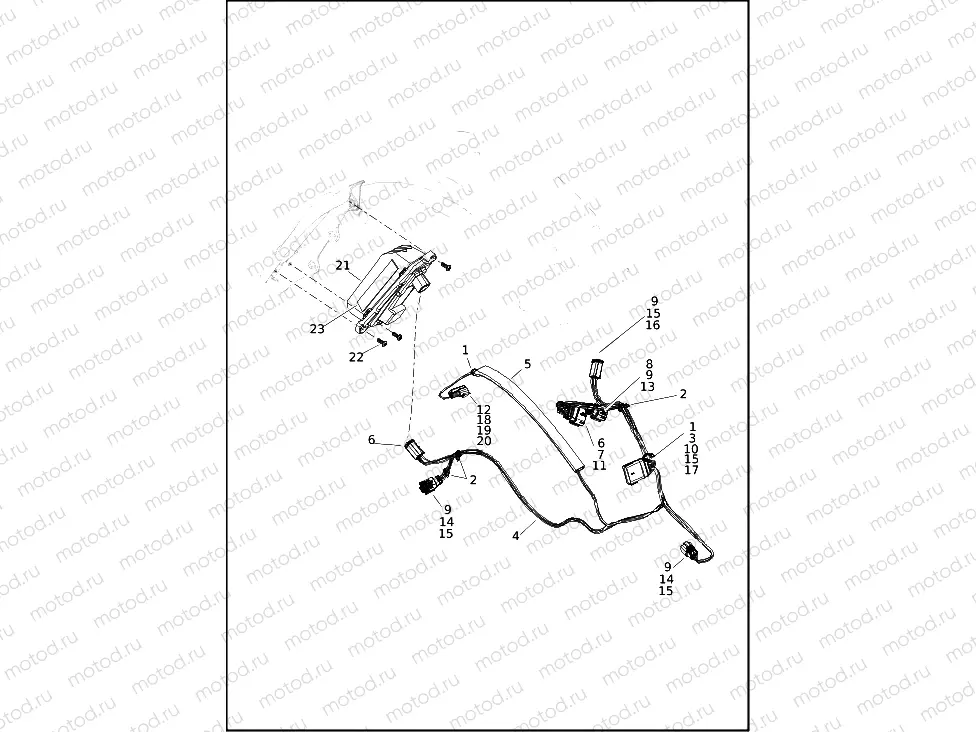 TAIL LAMP (EXCEPT CANADA) AND TURN SIGNAL, REAR
