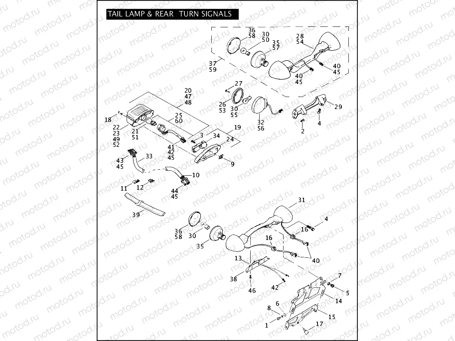 TAIL LAMP & REAR TURN SIGNALS (1 OF 2)
