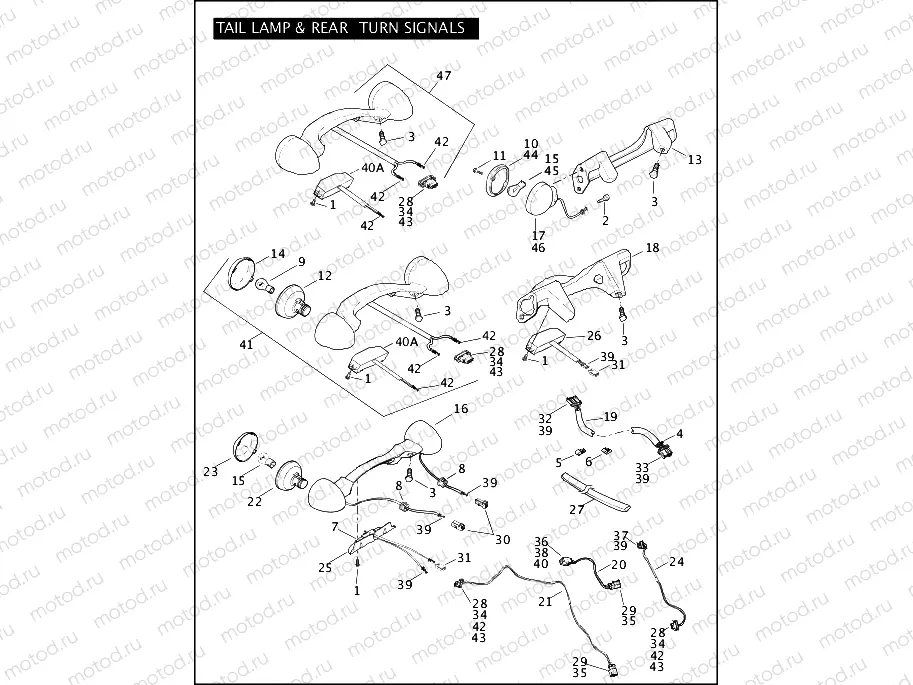 TAIL LAMP & REAR TURN SIGNALS (1 OF 2)