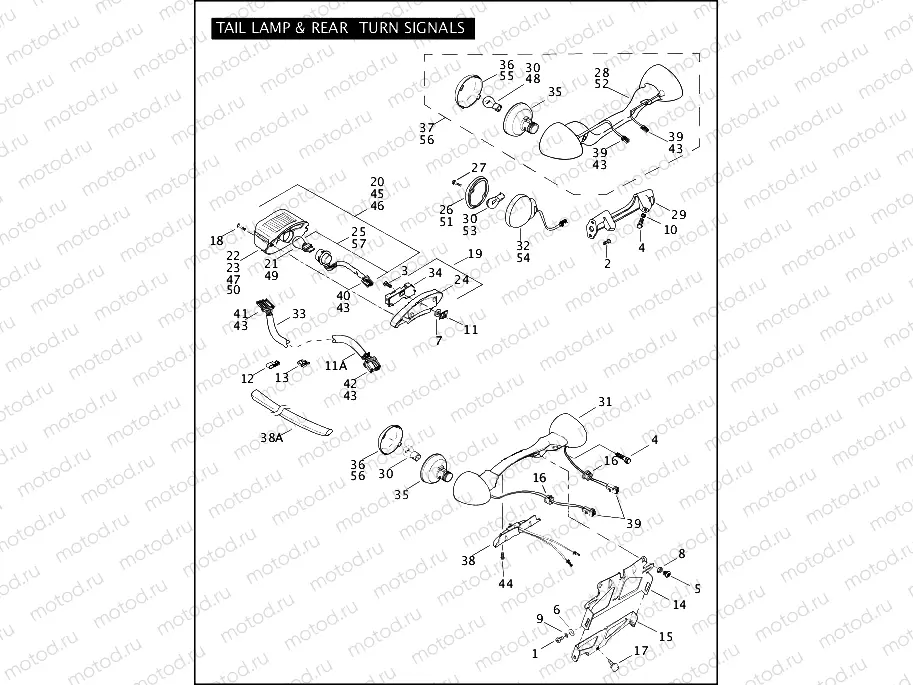 TAIL LAMP & REAR TURN SIGNALS (2 OF 2)