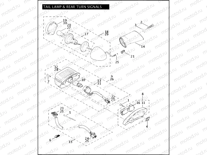 TAIL LAMP & REAR TURN SIGNALS