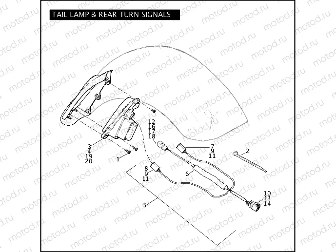 TAIL LAMP & REAR TURN SIGNALS