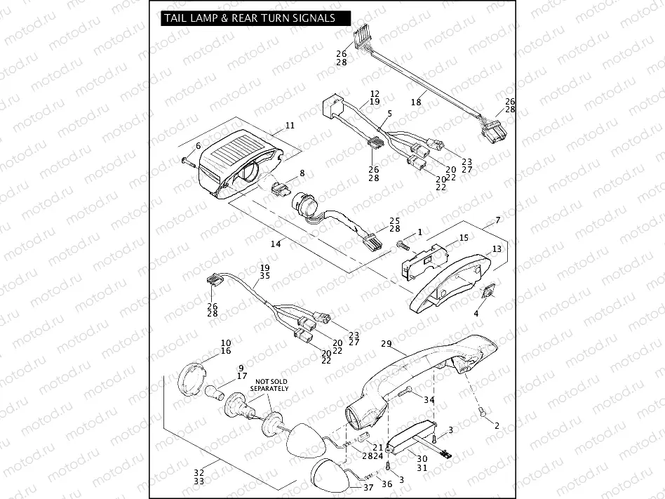 TAIL LAMP & REAR TURN SIGNALS