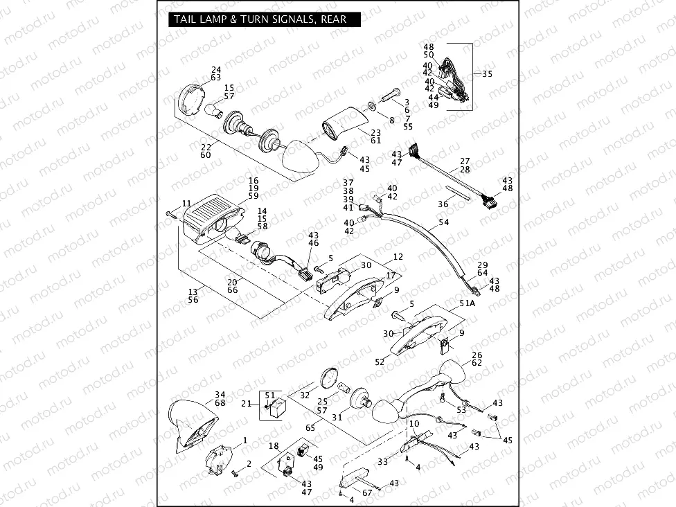 TAIL LAMP & TURN SIGNALS, REAR (1 OF 2)