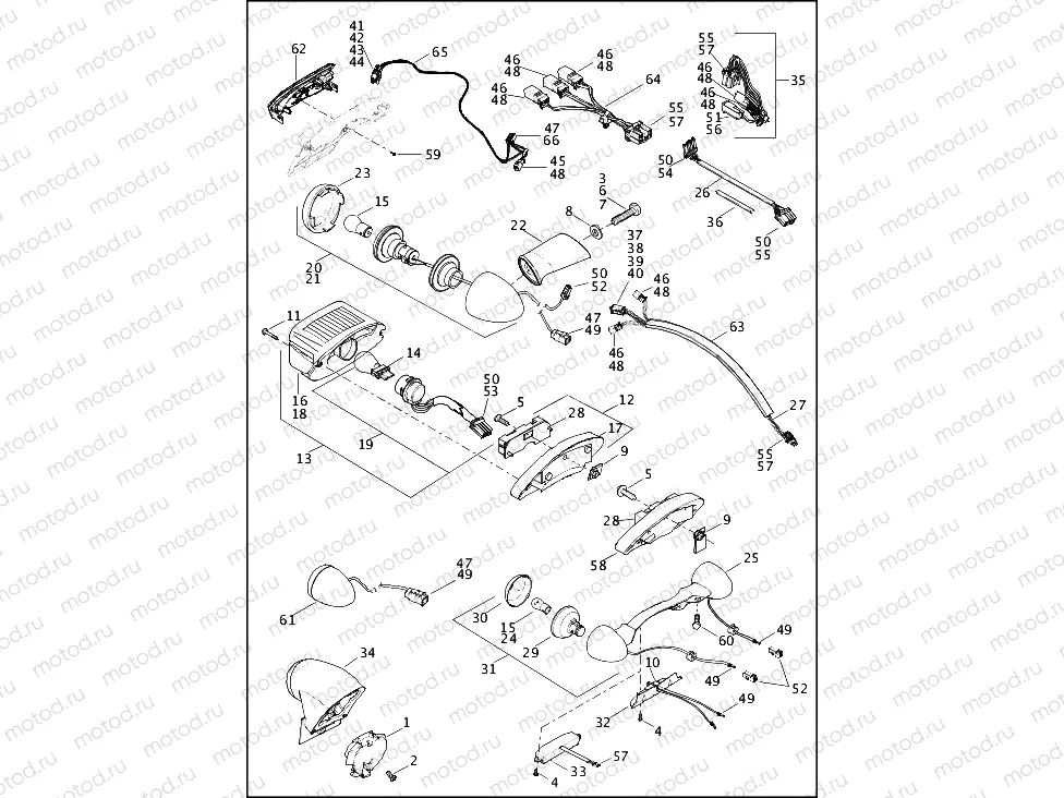 TAIL LAMP & TURN SIGNALS, REAR (1 OF 2)