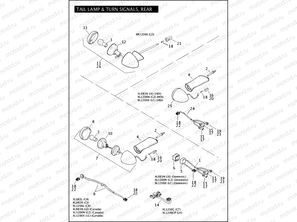 TAIL LAMP & TURN SIGNALS, REAR