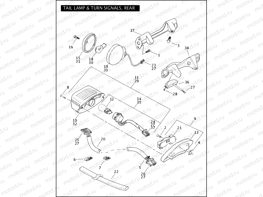 TAIL LAMP & TURN SIGNALS, REAR