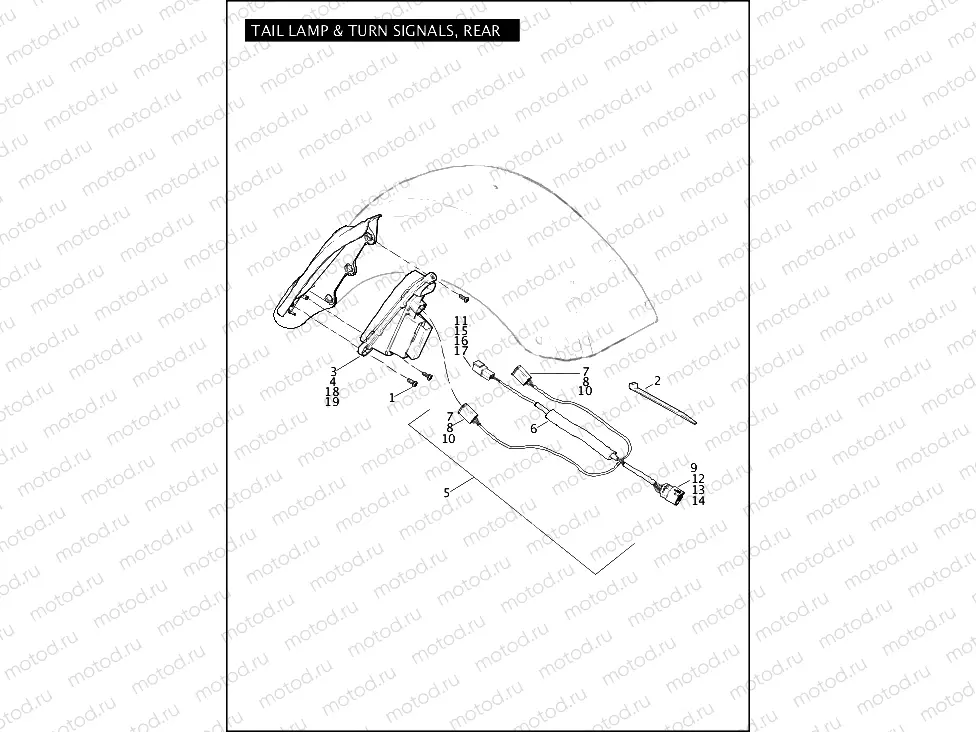 TAIL LAMP & TURN SIGNALS, REAR