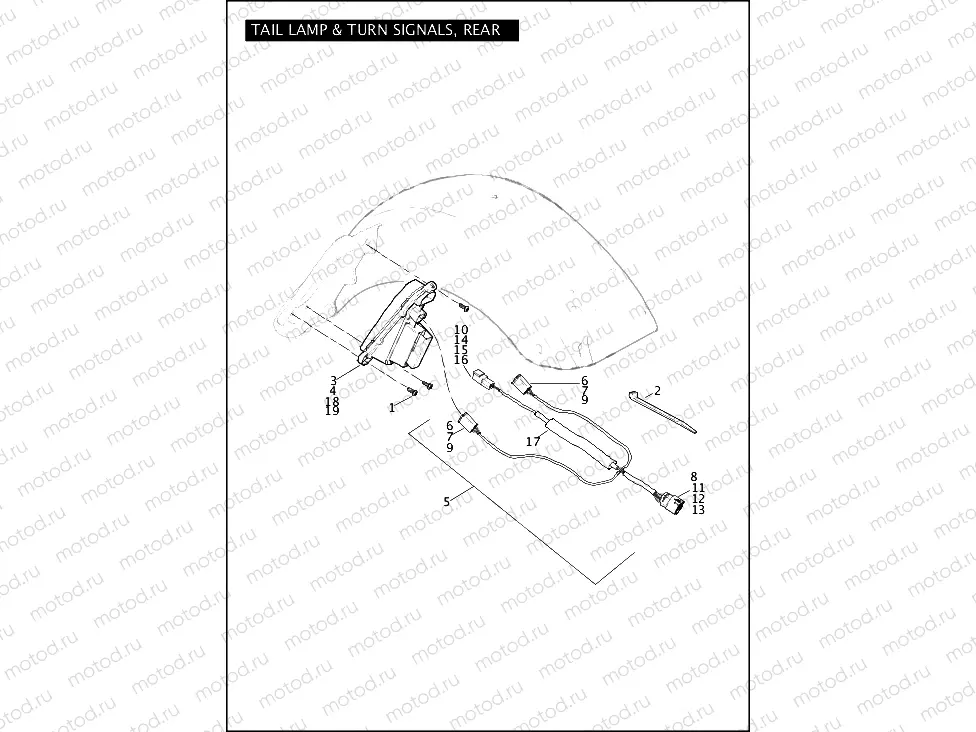 TAIL LAMP & TURN SIGNALS, REAR