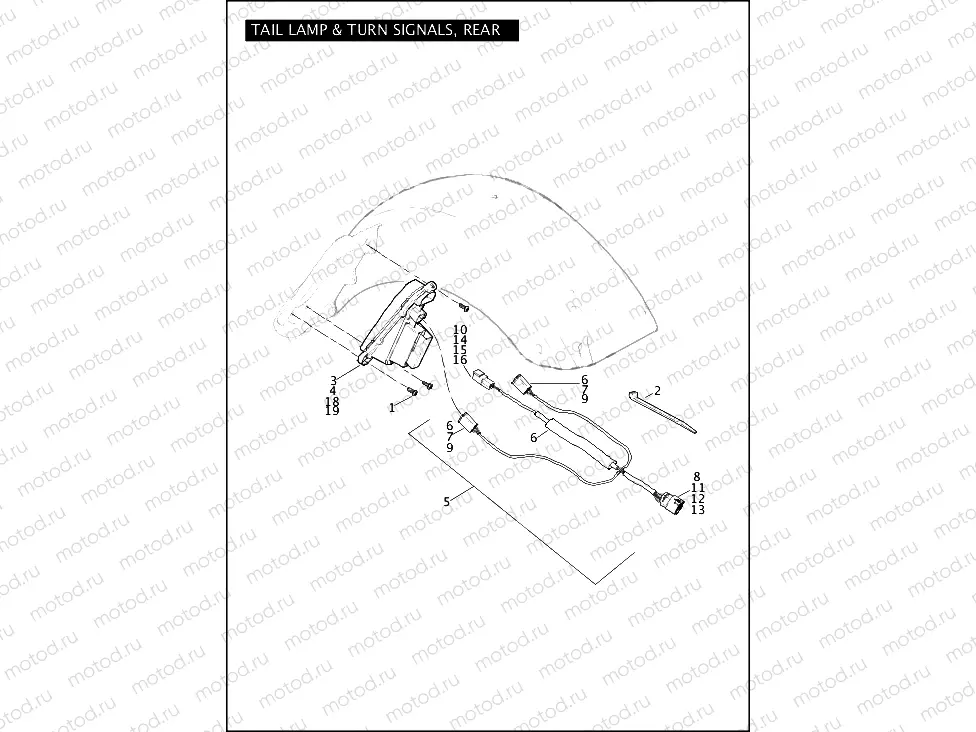 TAIL LAMP & TURN SIGNALS, REAR