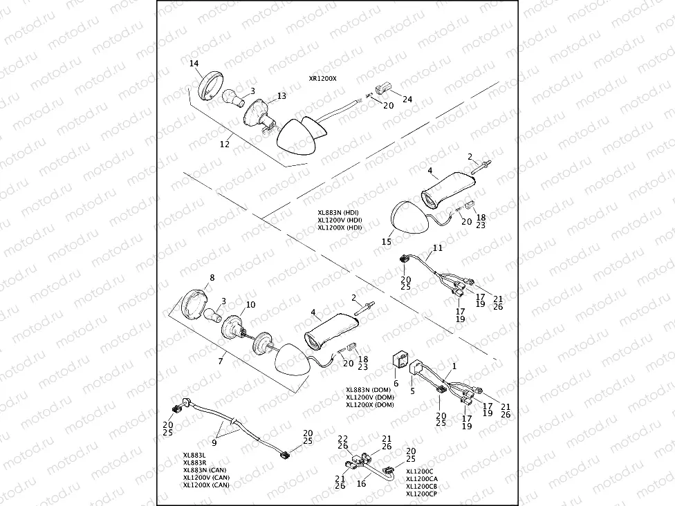 TAIL LAMP & TURN SIGNALS, REAR