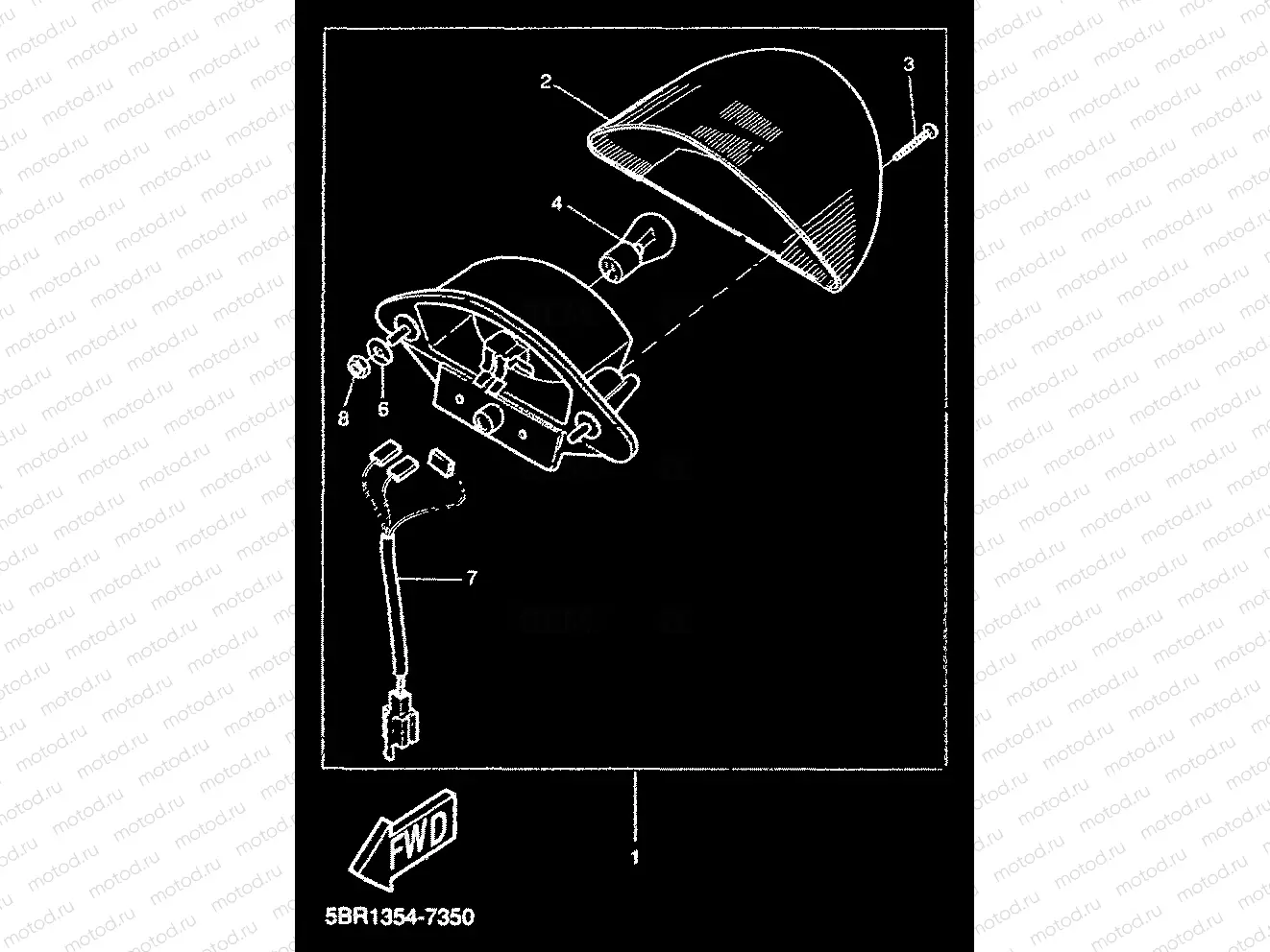 TAILLIGHT