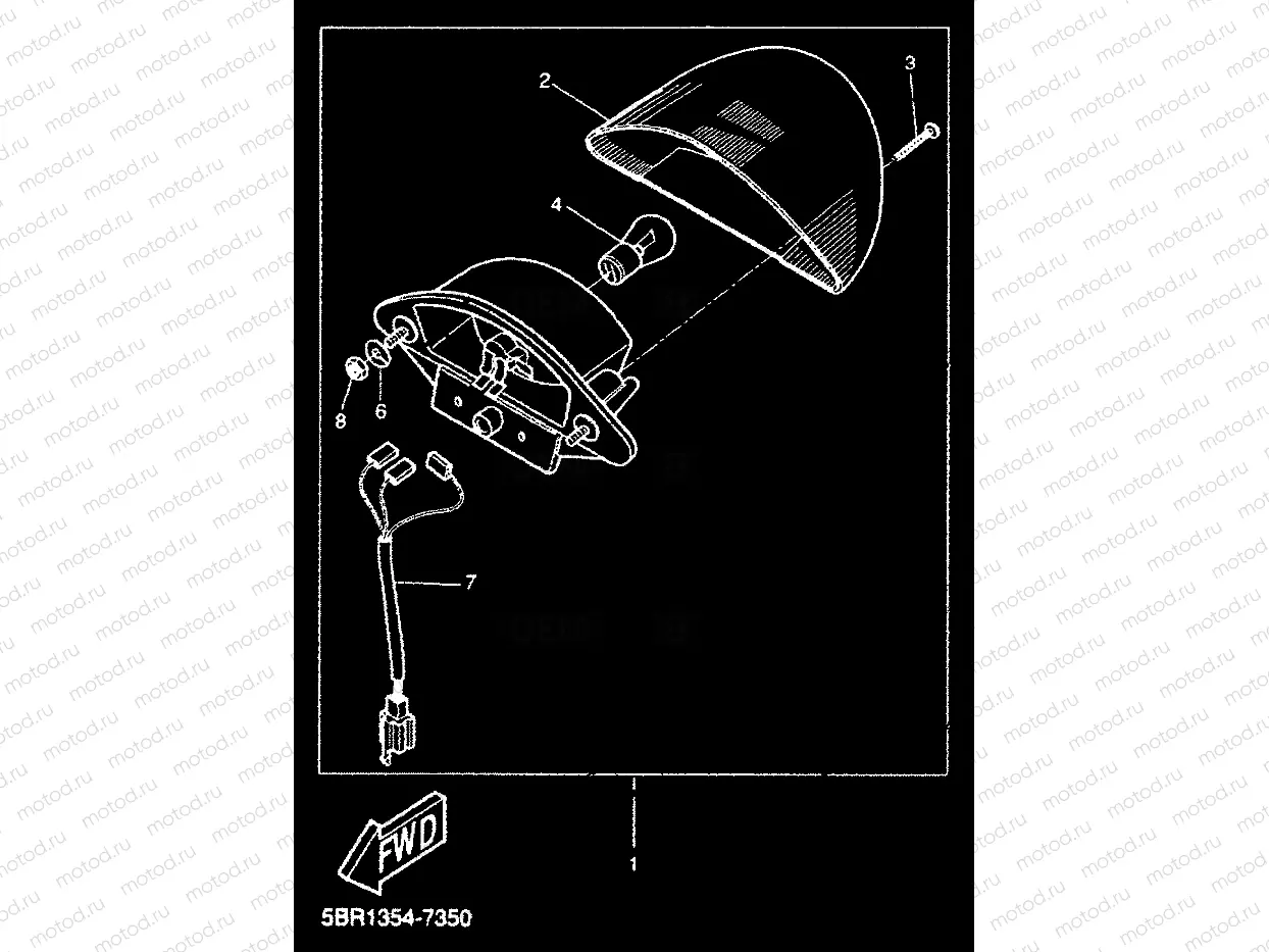 TAILLIGHT