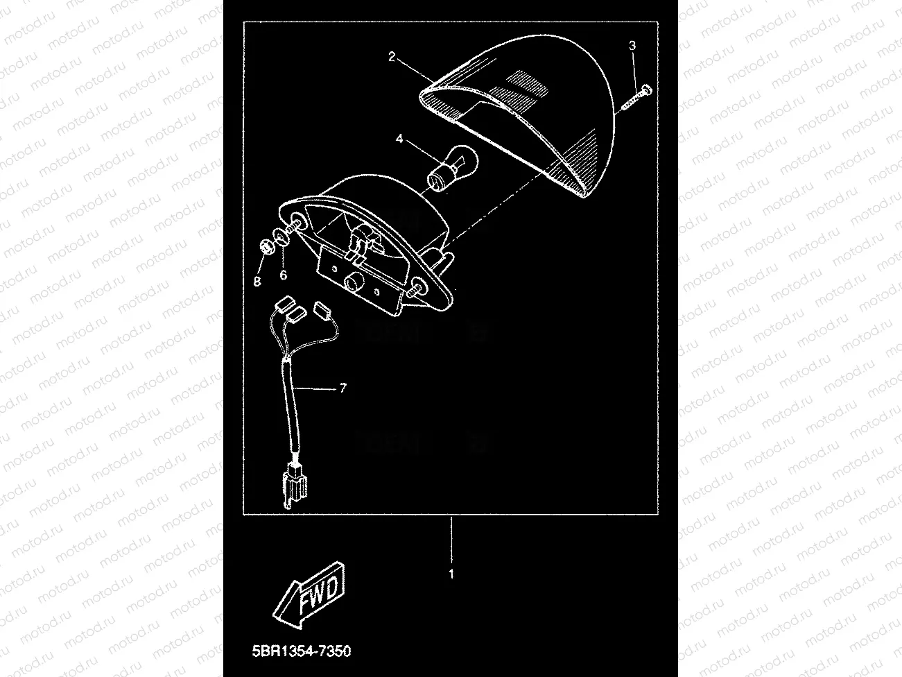 TAILLIGHT