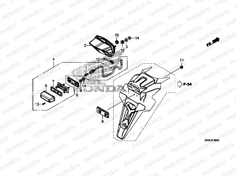 TAILLIGHT / LICENSE LIGHT
