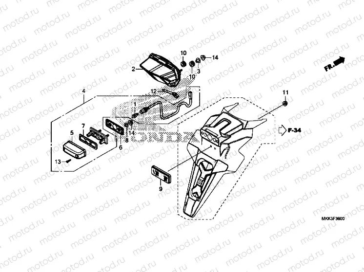 TAILLIGHT / LICENSE LIGHT