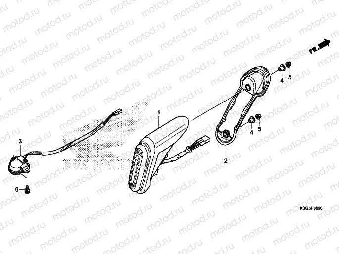 TAILLIGHT / LICENSE LIGHT